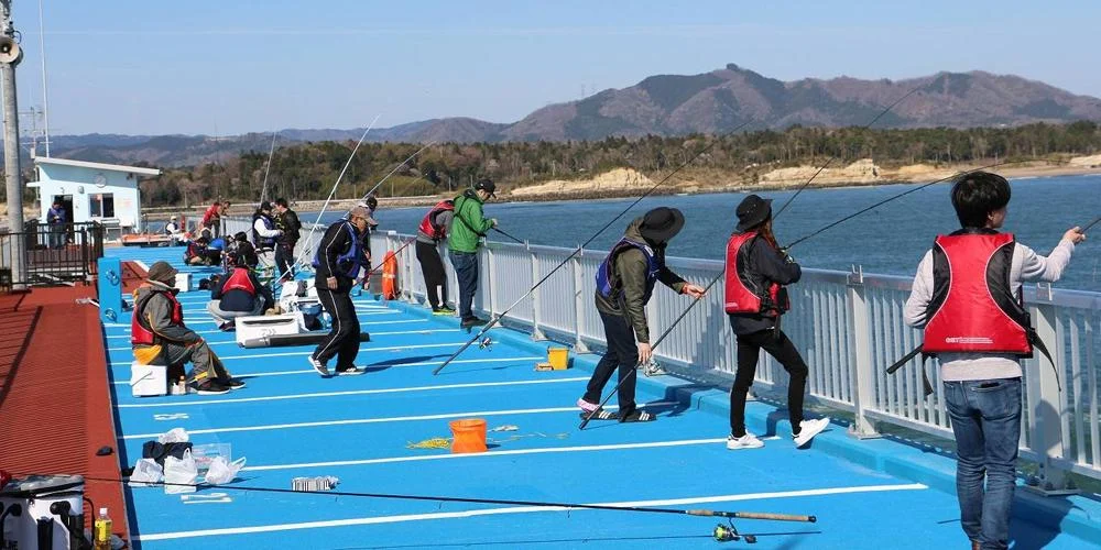 新地町海釣り公園紹介用イラスト（実景写真ではありません）